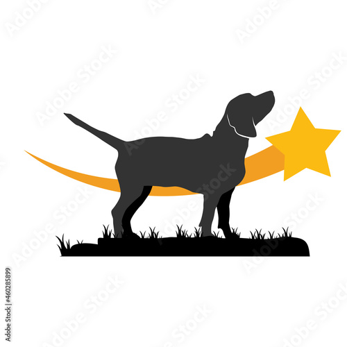 Illustration Vector Graphic of Star Beagle Dog Logo. Perfect to use for Technology Company