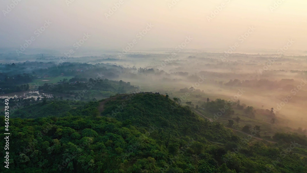 Valley covered with fog, bird's eye view, dense vegetation, trees
