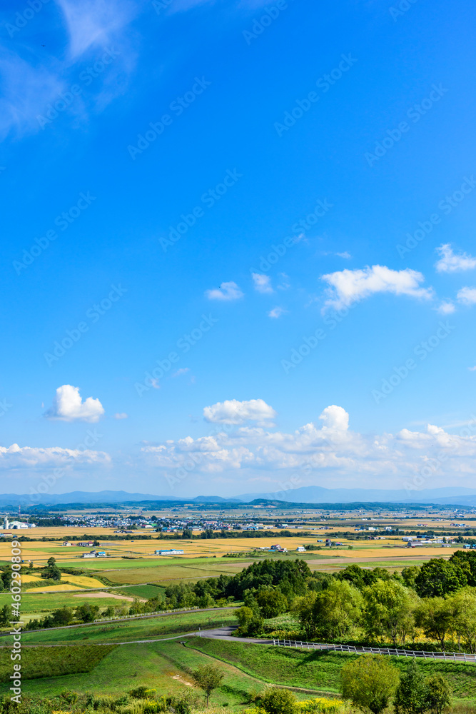 Obraz premium 萌の丘 素晴らしい道央の穀倉地帯を望む