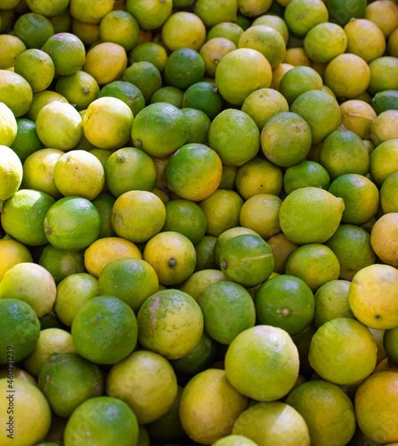 a lot of ripe limes 