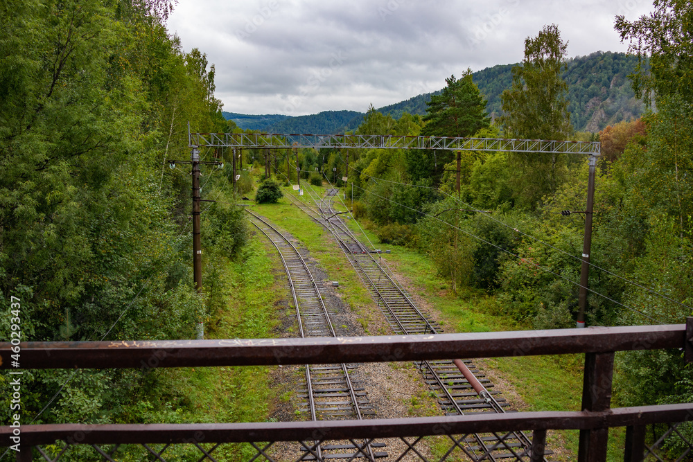 Railway in the middle of the forest. Alternate paths.
