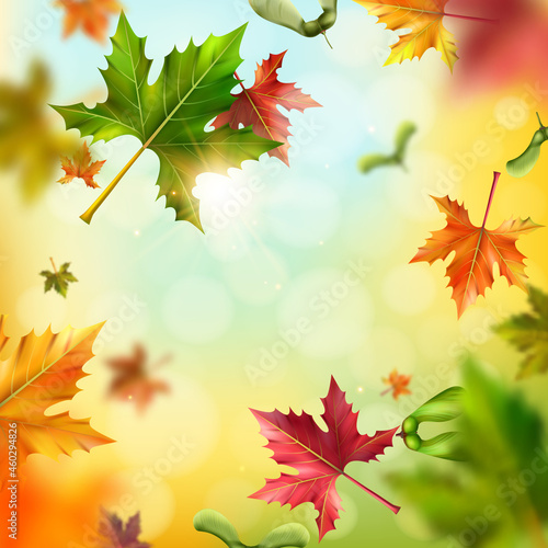 Maple Leaves Background