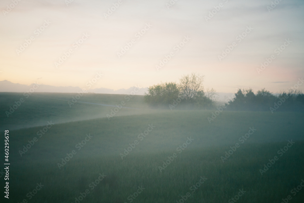 Morning fog lying over the rolling hills 
