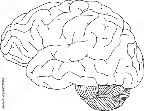 Human brain medical vector icon illustration isolated on white background