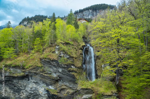 Reichenbach Waterfall. The Reichenbach Falls are a waterfall cascade of seven steps on the stream called Rychenbach in the Bernese Oberland region of Switzerland photo