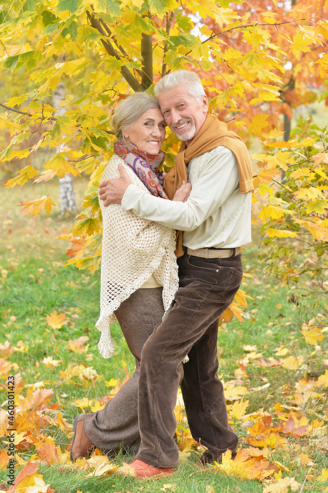 Beautiful senior couple hugging in the park Beautiful senior couple hugging in the park