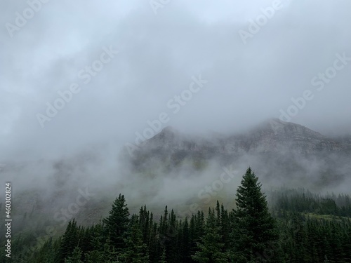 fog in the mountains © Rachelle