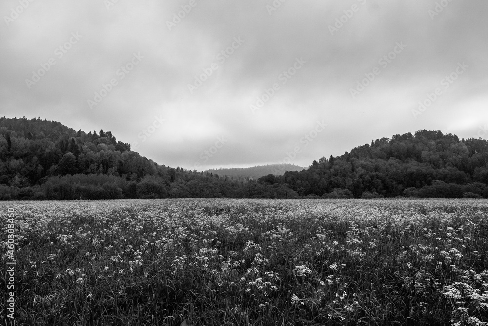 Meadow in between two peaks (Bieszczady PL)