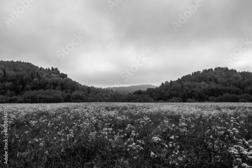 Obraz na płótnie Meadow in between two peaks (Bieszczady PL) w salonie