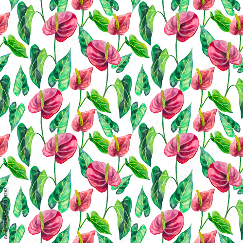 Seamless background with anthurium flowers. Floral background with watercolor painting of anthuriums on a white background. Background for design packaging, wallpaper, home textiles.