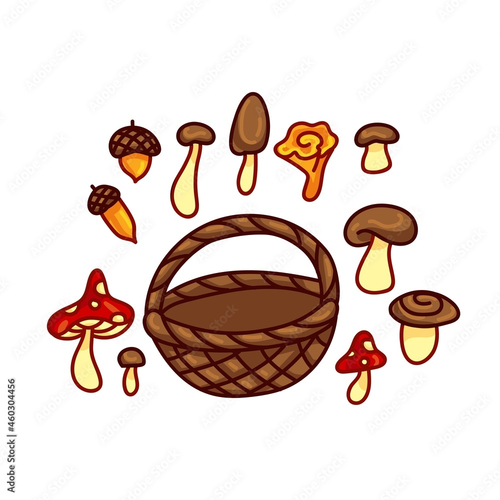 Set of basket with mushrooms and acorns. Bundle - white mushroom, fly agaric, chanterelle, honey mushrooms. Vector illustration in cartoon style for kids, isolated on white background.