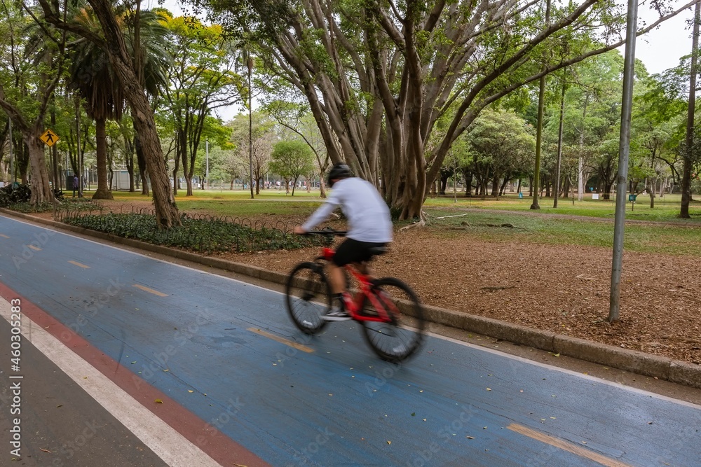 Red mountain bike cyclist speeding along the blue colored bike path in the park's natural landscape. Red mountain bike cyclist speeding along the blue colored bike path in the park's natural landscape.