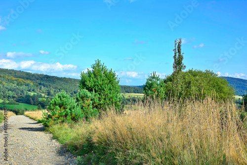 Country road in a grassy meadow, rural landscape of Low Beskids (Beskid Niski), Poland