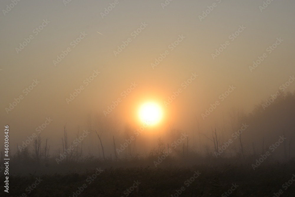 sunrise in the mountains