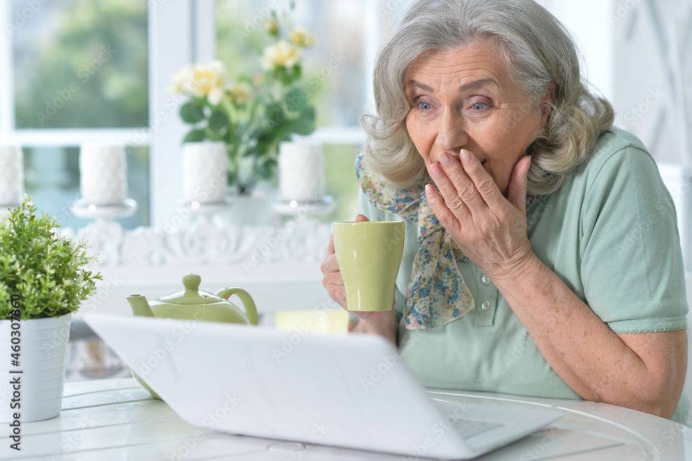 Portrait of beautiful senior woman sitting at table with laptop Portrait of beautiful senior woman sitting at table with laptop