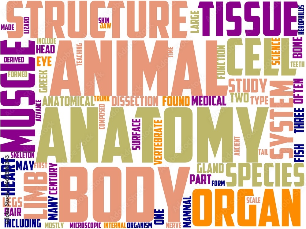 anatomy typography, wordcloud, wordart, anatomy,illustration,body,human