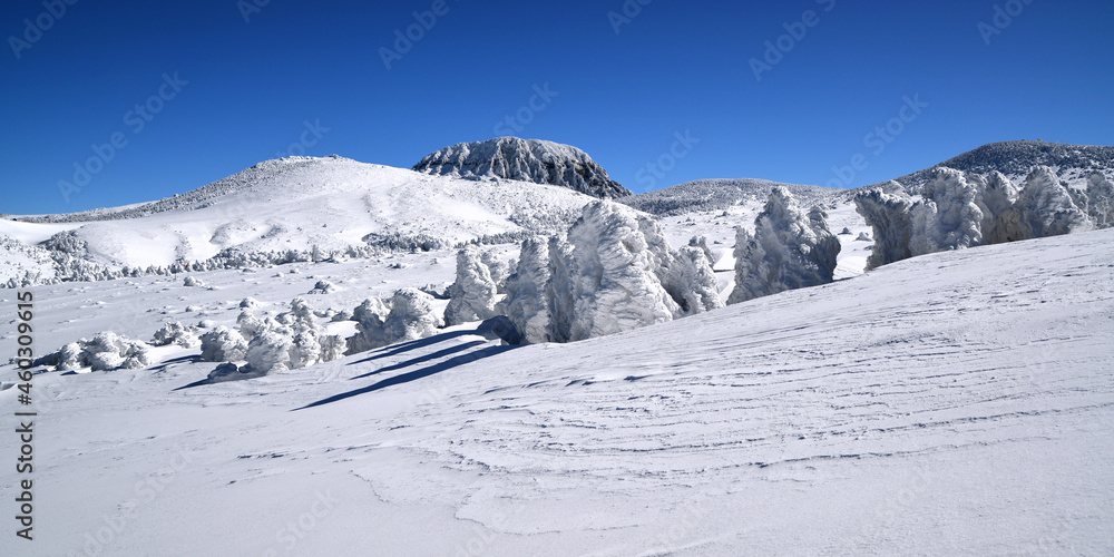 winter mountain landscape winter mountain landscape