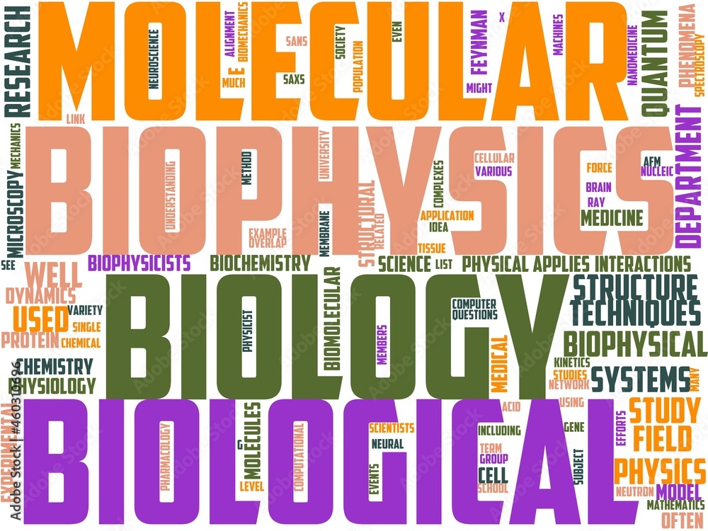 biophysics typography, wordcloud, wordart, biophysics,research,science,medicine,scientific biophysics typography, wordcloud, wordart, biophysics,research,science,medicine,scientific