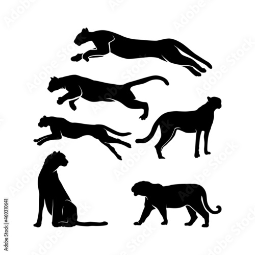 Cheetah, jaguar, puma, tiger, black panther silhouette set design inspiration