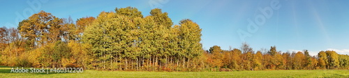 Fototapeta Naklejka Na Ścianę i Meble -  Weide im Herbst am Waldrand - Wiese mit Bäume Panorama