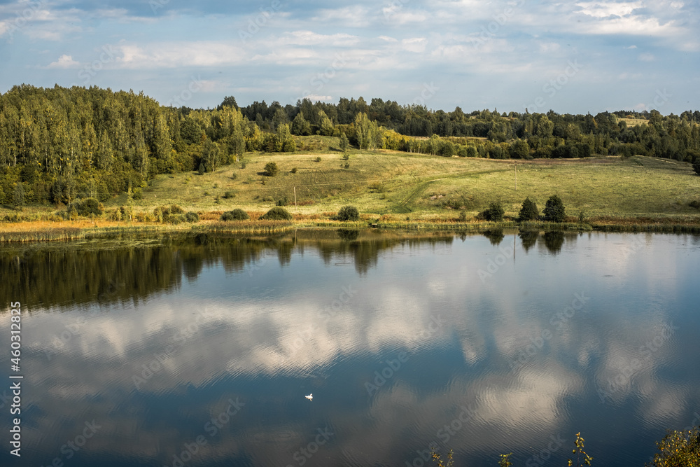 Fototapeta premium lake in the forest