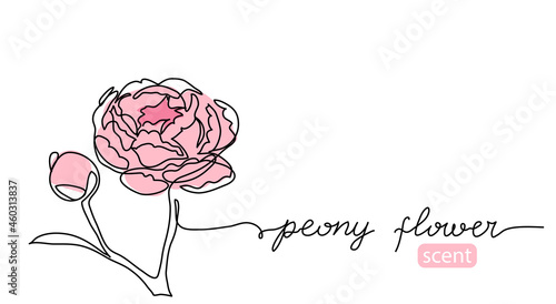 Peony flower continuous line drawing vector. Minimal background design with pink peony