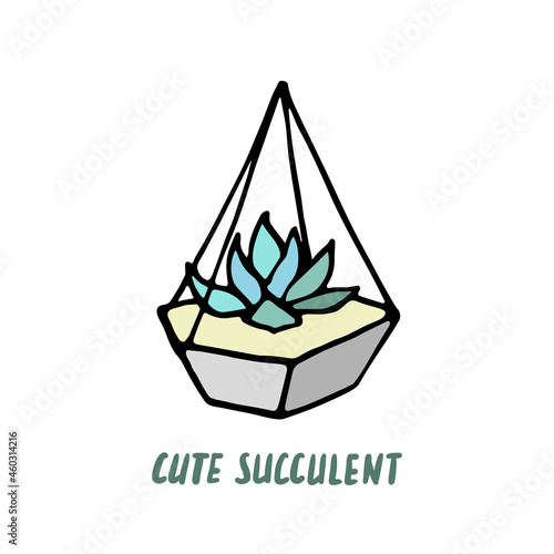 Succulent doodle print. Home plants in modern flowerpot