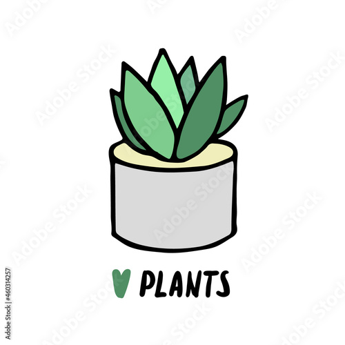 Succulent doodle print. Home plants in modern flowerpot