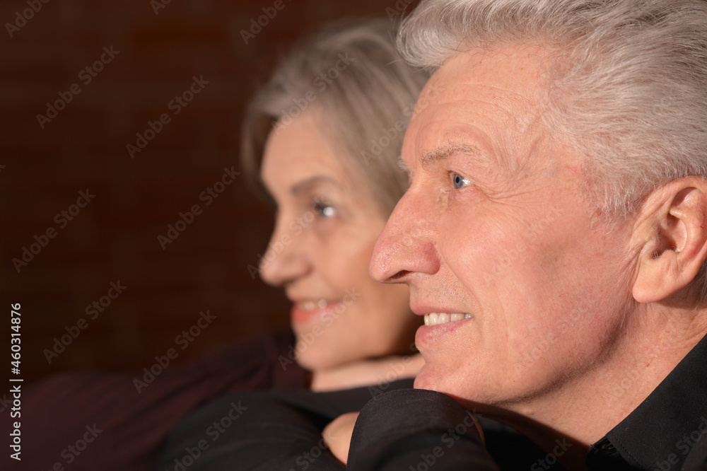 Portrait of happy beautiful Senior couple posing at home Portrait of happy beautiful Senior couple posing at home