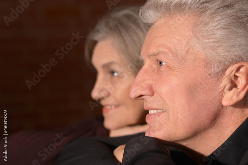 Portrait of happy beautiful Senior couple posing at home