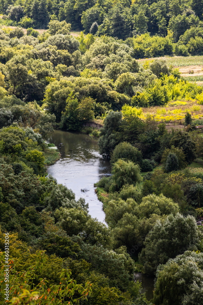River among green trees in summer. Aerial drone view