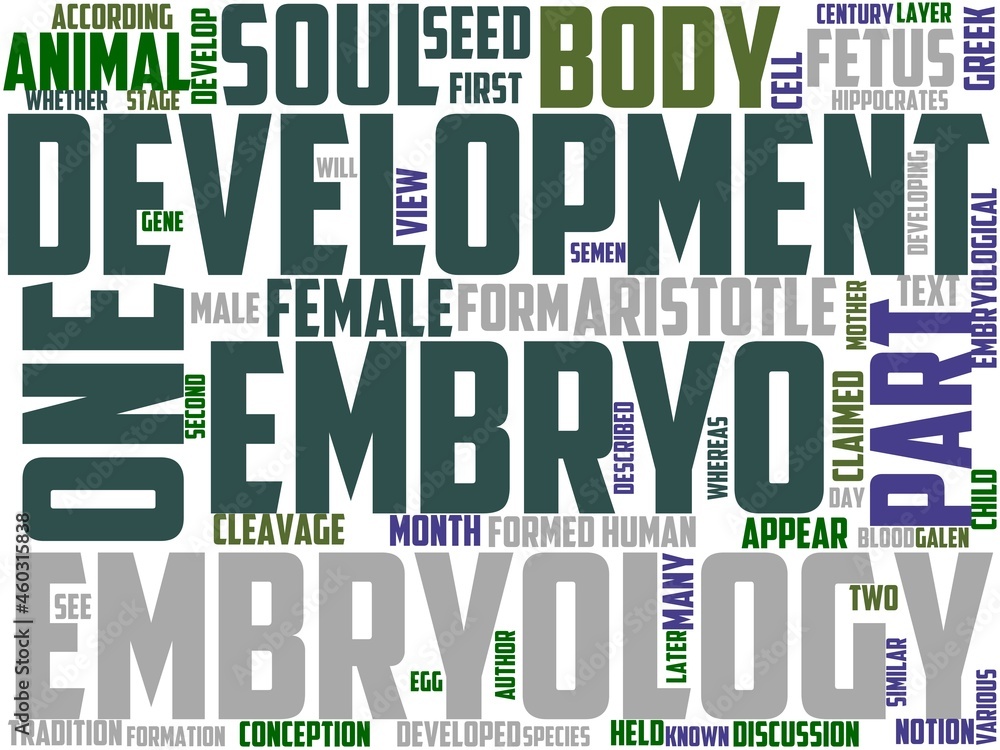 Fototapeta premium embryology typography, wordart, wordcloud, embryology,reproduction,health,embryo
