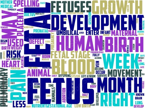 fetology typography, wordart, wordcloud, deliver,a,baby,neonatal photo