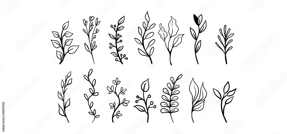 Hand drawn floral elements (laurels, leaves, flowers and branches). Wild and free. For invitations, greeting cards, Wedding Frames, posters. Nature ornaments.