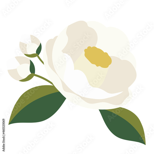 かわいい椿の花のイラスト
