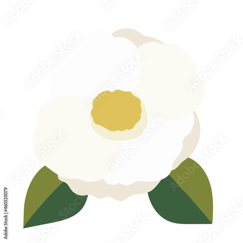かわいい椿の花のイラスト