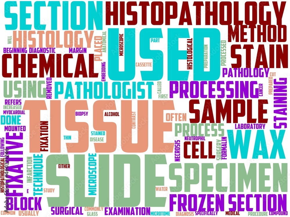 histopathology typography, wordart, wordcloud, histopathology,histology,microscope,biopsy histopathology typography, wordart, wordcloud, histopathology,histology,microscope,biopsy