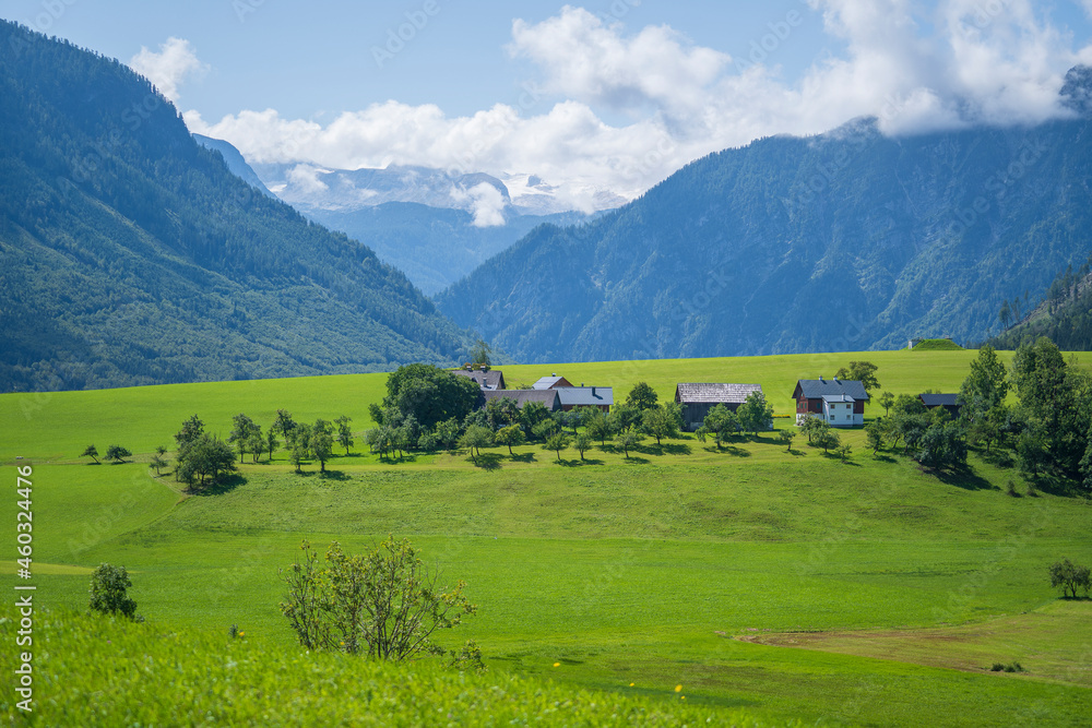 View of the village, fields and forest in mountains Alps Austria
