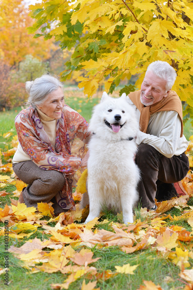 Portrait of happy senior couple in autumn park with dog Portrait of happy senior couple in autumn park with dog