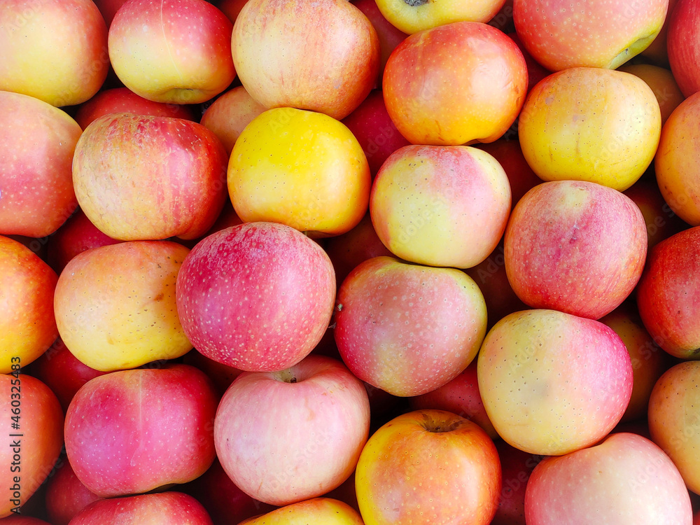 Beautiful red and yellow Apple Beautiful red and yellow Apple