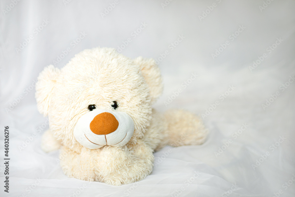 Teddy Bear lying in the bed Teddy Bear lying in the bed