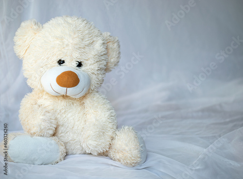 Teddy bear is sitting in bed