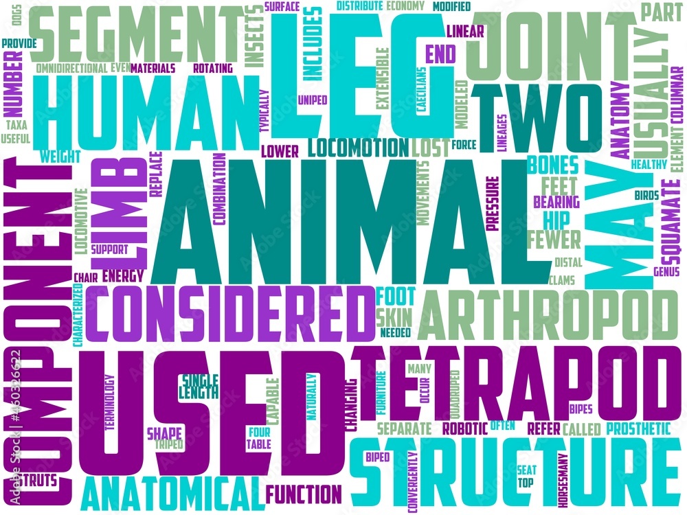 blockss typography, wordart, wordcloud, blocks,plastic,toy,game blockss typography, wordart, wordcloud, blocks,plastic,toy,game