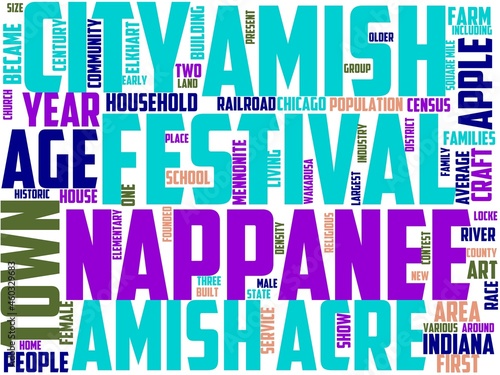 nappanee typography, wordcloud, wordart, indiana,nappanee,continent,usa