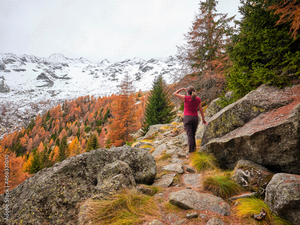 Fototapeta premium Girl during a hike in the mountains in the woods of Valtellina in Italy, with autumn colors. Reflection of autumn foliage in the woods of the Val Masino mountains in Lombardy in Italy