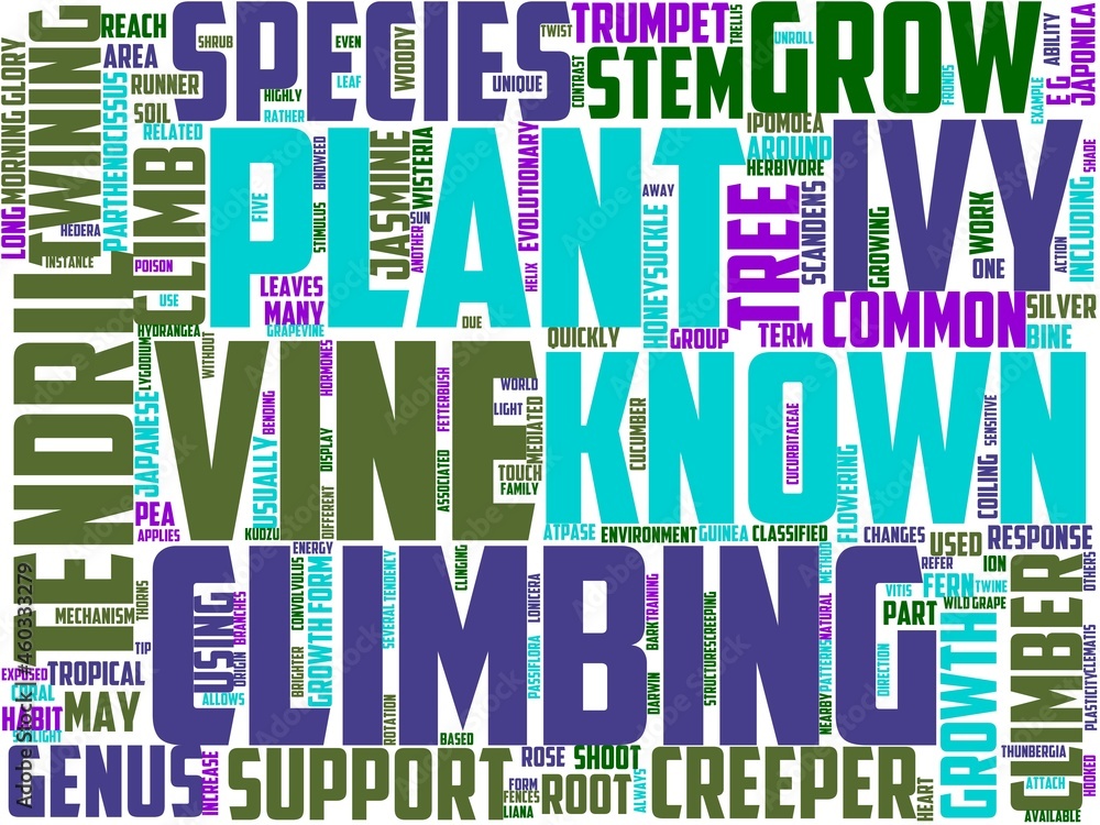 phlebology typography, wordcloud, wordart, phlebology typography, wordcloud, wordart,