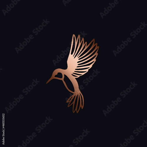 Humminbird vector image
