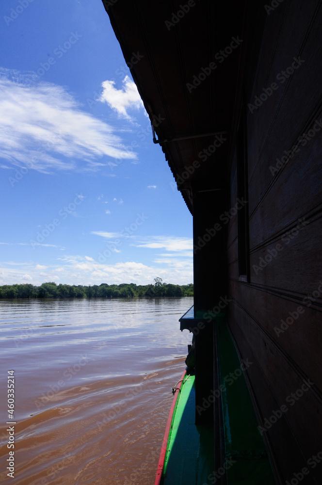 View of greem rain forest along the riverside of Kahayan bridge (Central Borneo, Indonesia) from the window of a traditional wooden boat.