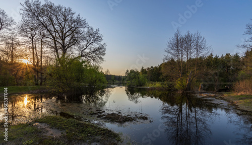 The river floods in early spring. Picturesque landscape spring evening. Sunbeams at sunset. Reflection of trees in the water.