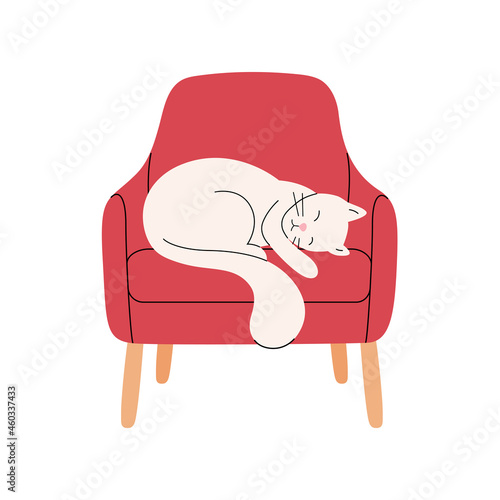 A white cat on a red chair with legs. The cat sleeps on the couch. Stylish vector illustration in a flat style with lines. Perfect for a furniture store, pet friendly cafe or hotel. Cozy home concept
